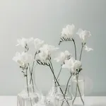 Kleos Citta Studi By Kleos Group Collection 3* Milano