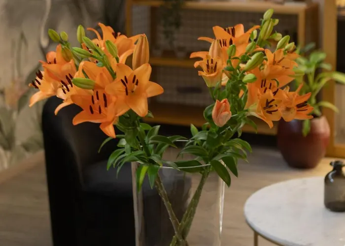 Hotel Kleos Citta Studi By Kleos Group Collection 3*